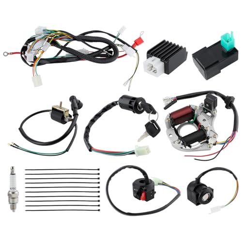 GoaMotors Complete Wiring Harness Kit with Ignition Coil Rectifier Ignition Key Switch Starter CDI Solenoid Relay for Coolster for Tao tao for X pro 50cc 100cc 125cc ATV Quad 4 Wheeler 4 Stroke Parts