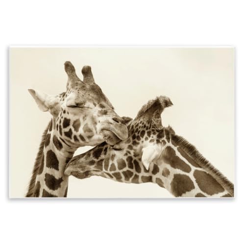 Sweet Cuddling Giraffes Sepia, 10 x 15 Inch Mounted Print on Wall Plaque