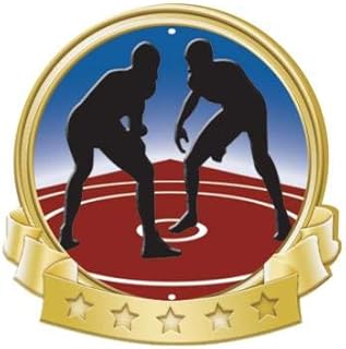 Crown Awards Wrestling Banner Pin, Gold Wrestling Pins