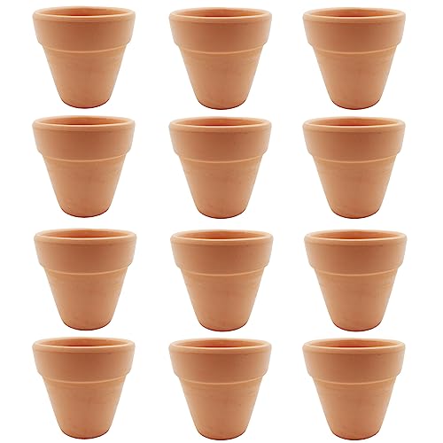 Molyorch 12 Piezas Maceteros de Terracota, Pequeñas Macetas de Arcilla Macetas de Terracota, para Plantas Semillas, Cactus Escritorio, Antepecho Oficina Regalo, Boda Navidad (6,5 x 6cm)