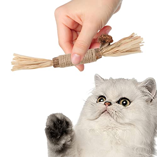 Vara de limpeza de dentes de gato | Snacks seguros para gatos, brinquedos para mastigar | Brinquedo