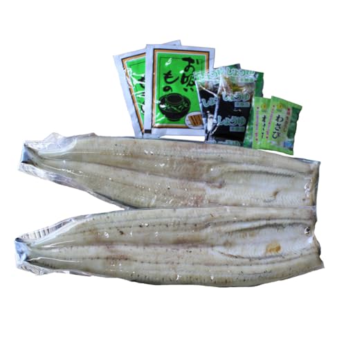 l l Ȃ 2lO Ă Ȃ ݖ 킳 z e2 VyꌧE zsz