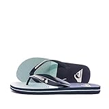  Quiksilver Herren Molokai Tijuana Badeschuhe, Blau (Blue/Blue/Green Xbbg), 45 EU