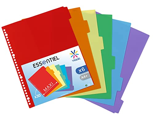 Viquel - Lot de 6 Intercalaires plastique format A4 Maxi - Perforation 30 trous - Intercalaires scolaires ou bureau