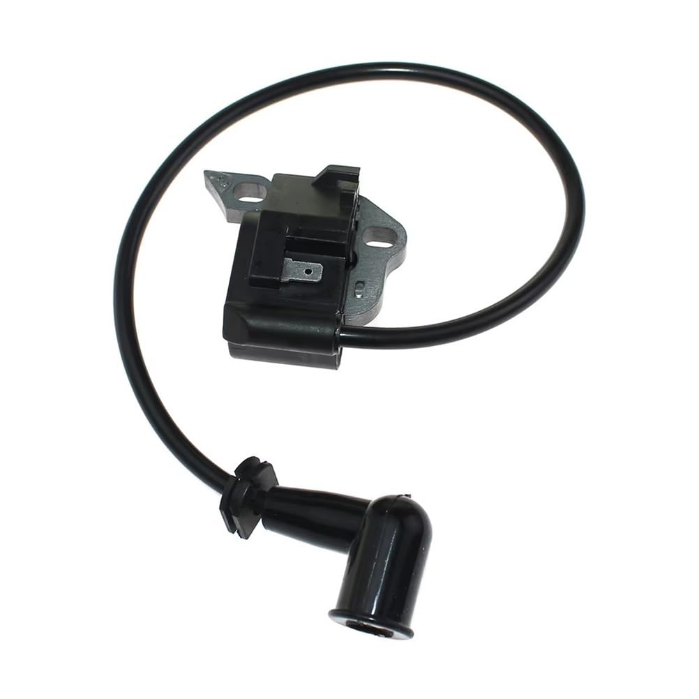 Bobine d'allumage stable pour RY42WB 291424001 étincelle constante