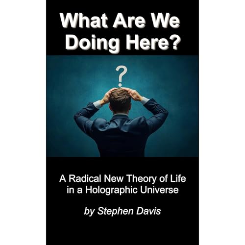 What Are We Doing Here? Audiolibro Por Stephen Davis arte de portada