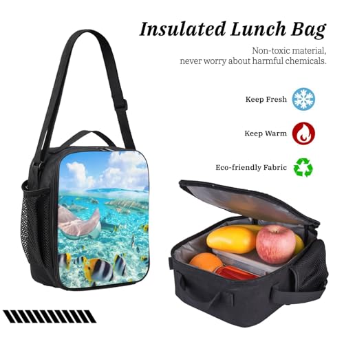 Mochila escolar de peces de 3 piezas EdWal con estampado multicolor ligera y funcional 6