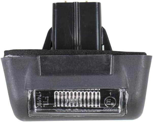 Rear License Plate Light