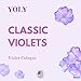 YOLY Classic Violets Cologne - Traditional & Long-Lasting Fragrance, Suitable for Babies & Adults, 8 Fl Oz