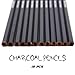 Professional Charcoal Pencils Set 12 Pcs Sketch Pencils Soft Medium Hard Ideal for Drawing Art, Sketching, Shading, Artist Pencils for Beginners & Pro Artists