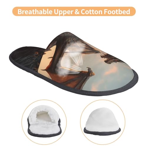 Sky Sunset Bronze Dragon Print Women Slippers Home Furry Shoes Keep Men Couples Shoes Warm For Women-4