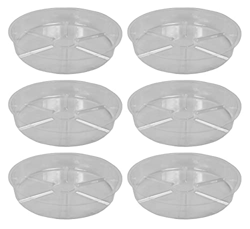 Set of 6 8" Vinyl Plant Saucers - Plant Trays/Water