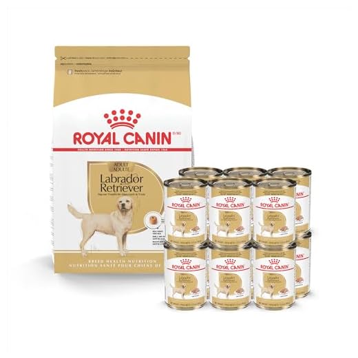 Royal Canin Breed Health Labrador Retriever Adult Dry Dog Food, 30 lb Bag Breed Health Labrador Retriever Loaf in Sauce Canned Dog Food, 13.5 oz can (12-Count)