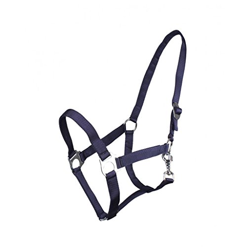 Halster QHP schuif azul shetland cabestro ajustable poni 2