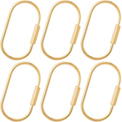 YALOJE 6pcs Brass Key Ring with Screw Lock, Gold Plated Carabiner Keychain Clip, Heavy Duty Key Chain Organizer Holder Purse Bag Charm for Keys, Dog Leash, Handbags