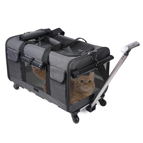 PETCUTE Sac de Transport pour Chien/Chat à roulettes,Pliable Sac de Transport Chats avec Poignée Télescopique,Caisse de Transport Chat en Maille Respirant...