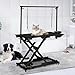 50 in Dog Grooming Table, Electric Hydraulic Grooming Table with Aluminium Overhead Arm, Anti Slip Tabletop, 6 USB Ports for Large Dogs At Home and Salon, Maximum Capacity Up to 300 LB, Black