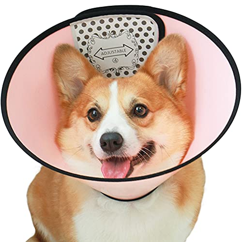 Bidason エリザベスカラー 犬 猫 マジックテープ 軽量 調節可能 装着簡単 接着力強い 抜けにくい ウサギ 兼用 手術後 皮膚病 介護用 引っ掻き 舐め防止 PP素材 色選択可 7サイズ