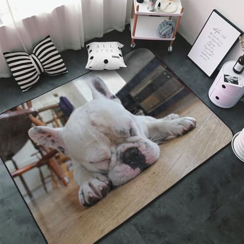 �J�[�y�b�g �t�����`�u���h�b�O ����(1) �����` ���O�}�b�g ���O �O�~ �ėp �h�_�j �R�� �h�� �h�L �ӂ���Ǝ�G�� ������� �D�����t�����l�����O ���g�[�Ή� �􂦂� ����~�ߕt �l�C �v���[���g 100 × 150 cm BHT4H131