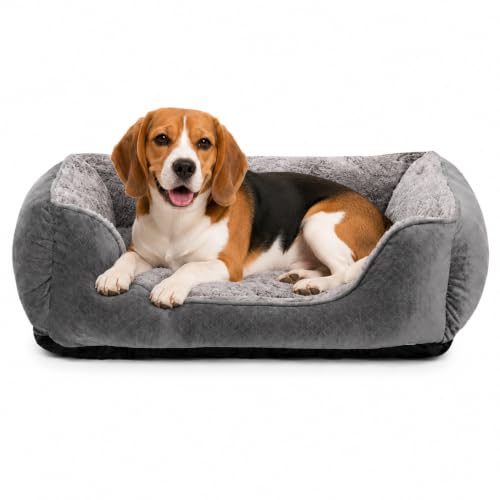 Cama mediana rectangular para perro, súper suave, cama cálida lavable para mascotas con parte inferior antideslizante, antiansiedad, gris, 25 x 21 x 8 pulgadas