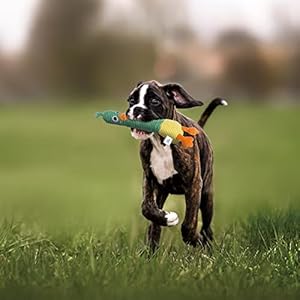 Nocciola-2-in-1-Duck-Dog-Toy-with-a-Large-Rubber-Squeaker-Durable-Stuffed-Squeaky-Chew-Toys-for-Aggressive-Chewers - Cucciolini Doodles   Nocciola-2-in-1-Duck-Dog-Toy-with-a-Large-Rubber-Squeaker-Durable-Stuffed-Squeaky-Chew-Toys-for-Aggressive-Chewers