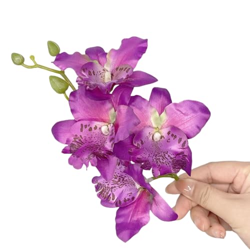 qpwAs wANbv VrWE` r[`Xe[W _XEFA  2000N ̎q wbhhX oP[V