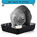 Bokon 12 Pcs Disposable Litter Boxes for Cats Plastic Cat Litter Tray Large Kitten Pan for Kitty Rabbit Guinea Pig Hamster Pets Supplies Travel Home Toilet, 15. 7 x 11. 8 x 3 Inches