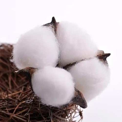 10 piezas de algodón seco artificial para decoración y manualidades miniatura 6