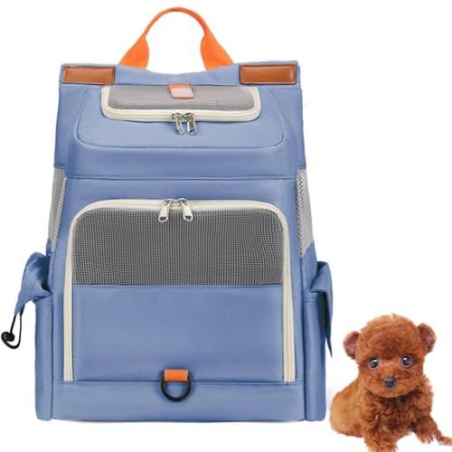 LifetipseB[Jbvv[hybgbN L[ ʋCbV J[et y ˃e[v яoh~ h  @\ bN^ybgL[ ^ ^ L s ʉ@ ] d [|Pbgt ܂肽 gѕ֗ 