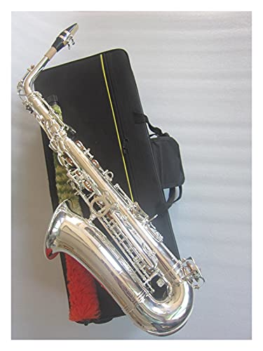 アルトサックス リードケース」の人気商品一覧 | 安い商品を通販サイト