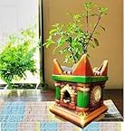 Niyara Colorful Tulsi Ceramic Teracotta Pot Medium Size for Indoor, Outdoor,Home Office,Pooja Plants Gamla(10 inches by 8 inch)