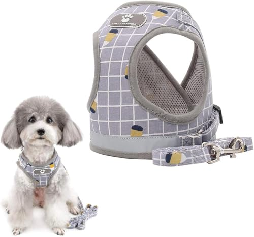  n[lX[hZbgLpn[lX xXgGAbV ^ `FbN ˍ S ʋC Ď h~ ʋC ߉\ ȒPE(O[̊iq,XS)