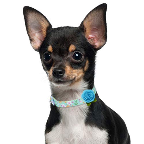 Floral Dog Collar With Removable Flower Soft Comfortable Adjustable Collars For Small To Medium Dogs Blue #TOP5
