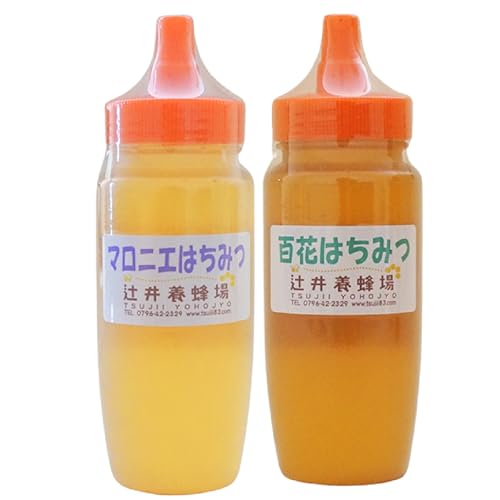 国産純粋 マロニエはちみつ 百花はちみつ 各250g 計500g ポリ容器 常温 辻井養蜂場 81-03
