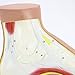 Teaching Model Tools,Foot Model Normal Foot Flat Foot Flat Arch Arch Collapse Model Foot Joint Anatomy Model Teaching Display