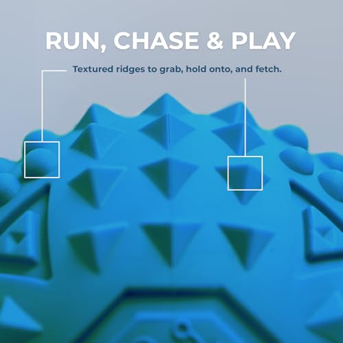 Image of Best Pet Supplies Squeaky Dog Toys with Soft Durable Fabric for Small, Medium and Large Pets Interactive Toy for Indoor Play, Supports Active Biting and Play - Blue (L:3.5 inch)