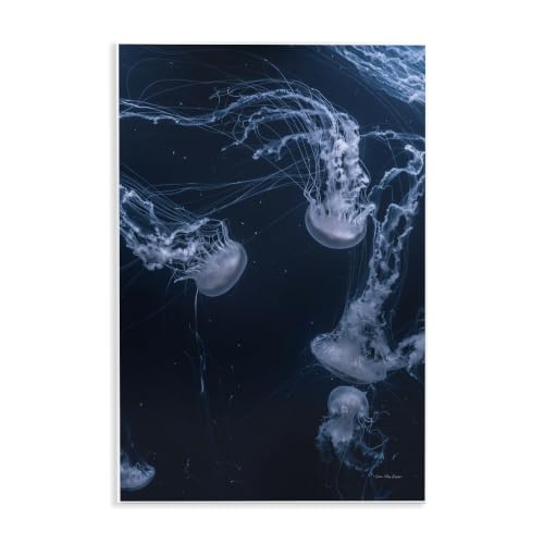Chilling Jellyfish Deep Ocean, 13 x 19 Inch Mounted Print on Wall Plaque