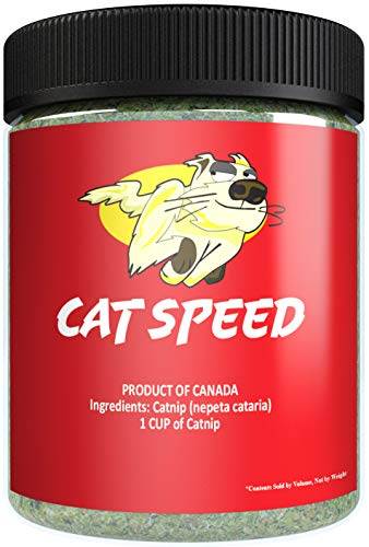 Cat Speed Catnip, Premium Maximized Blend Safe for Cats, Infused with Insane Potency Your Kitty is Guaranteed to Go Nuts for! (1 Cup)