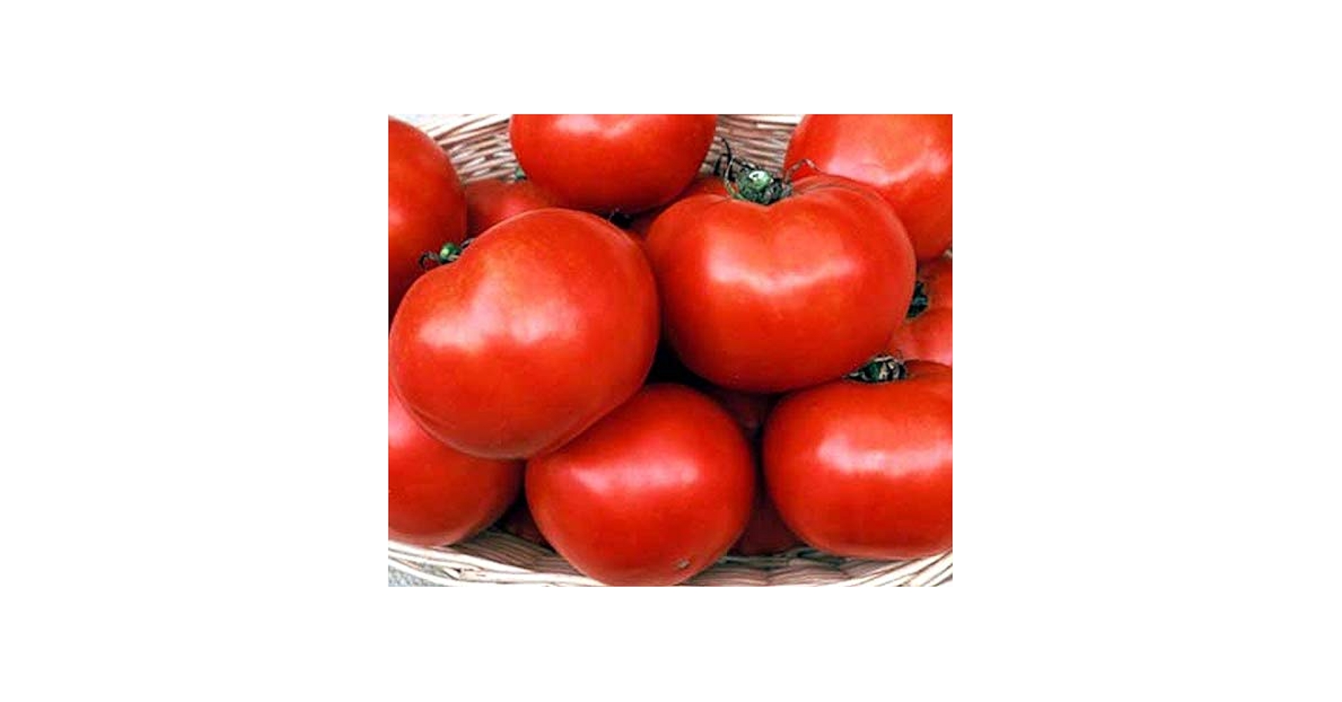 【レッチリとまと】 Florida 91 Hybrid Tomato Seeds — Seeds 'n Such