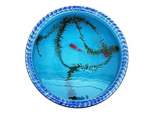 Amazon.co.jp: スイレン鉢/睡蓮鉢/陶器製鉢/水連鉢/鉢植え