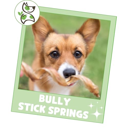 Nature Gnaws 855357007277 Bully Stick Springs For Dogs 7-8 Inch thumb #5