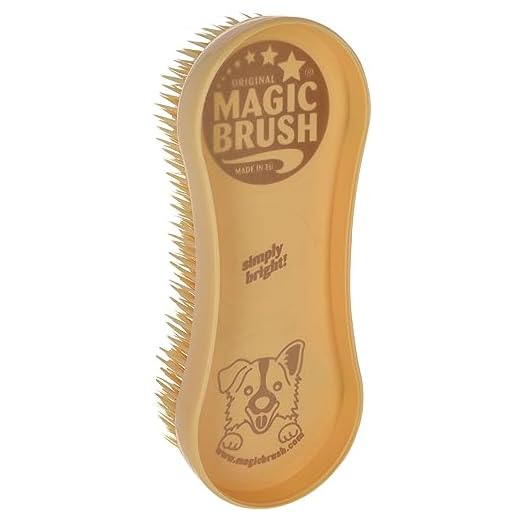 MagicBrush Dog golden