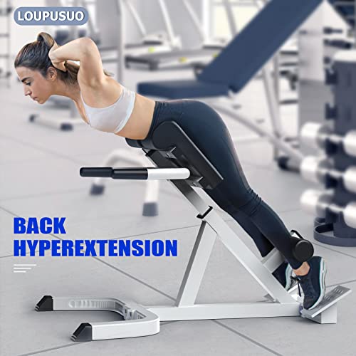 Loupusuo Roman Chair,Back Extension Bench,Multi Functional Ab Bench, Hyperextension Bench Abdominal Exercise, Waist Extension Workout, Buttocks Machine, Leg Strength Trainer Home Men Women Full Body #TOP1