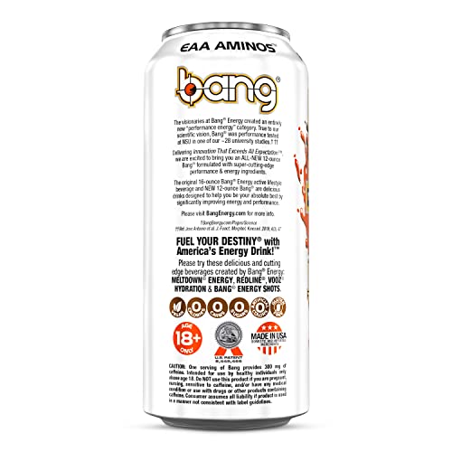 Bang Energy Whole Lotta Chocolata, Sugar-Free Energy Drink, 16 Ounce (Pack of 12)