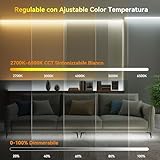 PAUTIX B0CZNQBKP5 lato 2