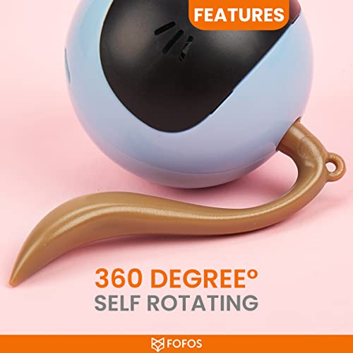 Image of BarkButler X FOFOS Whirli Cat Toy - Interactive Cat Toys, Toys for Kitten and Adult Cats