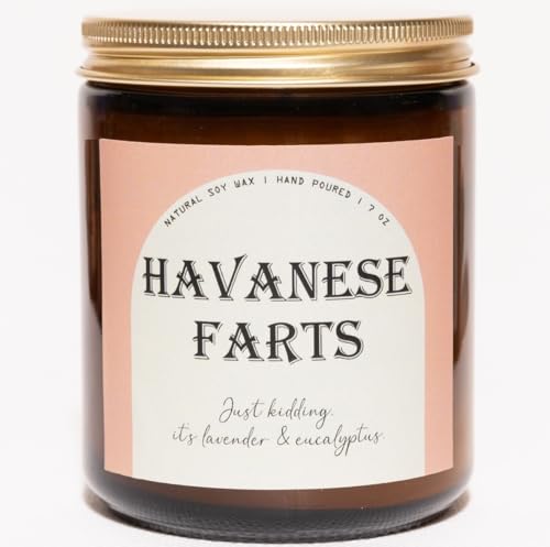 Havanese Gifts & Decor, Havanese Dog Gifts for Women, Funny Dog Candle