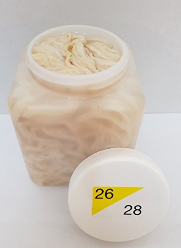 Schweinedarm Kaliber 26/28 91,4 Meter füllfertig 1A in der Dose Spitzenqualität Bratwurstdarm