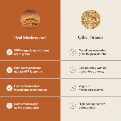 Image of Real Mushrooms Cordyceps Mushroom Powder - Organic Cordyceps Powder Mushroom Energy and Wellness Support - Rich in Beta Glucans - Non-GMO, Vegan Supplement, 60 Servings