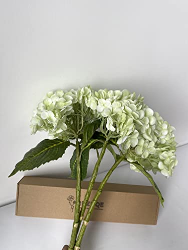 Yalzonemet Light Green Hydrangea Artificial Flowers, 3 Pcs Lifelike Real Touch Large Hydrangea Fake Flowers, 21 Inch Latex Silk Faux Hydrangea For Home Wedding Decor Flower Arrangement #TOP5
